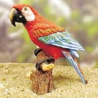 parrot figurines for sale