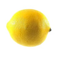 plastic lemons for sale