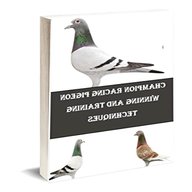 racing pigeon books for sale