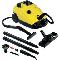 professional steam cleaner for sale