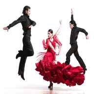 flamenco for sale