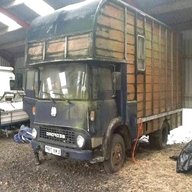 bedford horse lorry for sale