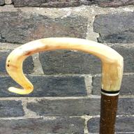 walking stick rams horn for sale