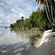 solomon islands for sale