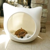 whiskas bed for sale