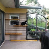 outdoor cat enclosure for sale