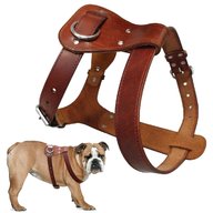 leather harness for sale