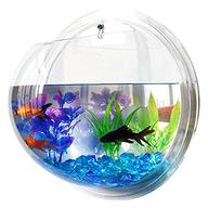 wall mounted fish tank for sale