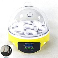 mini egg incubator for sale