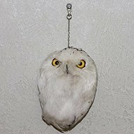 taxidermie owl for sale