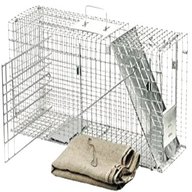 cat trap for sale