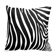 zebra print throw for sale
