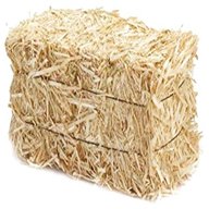 straw bales for sale