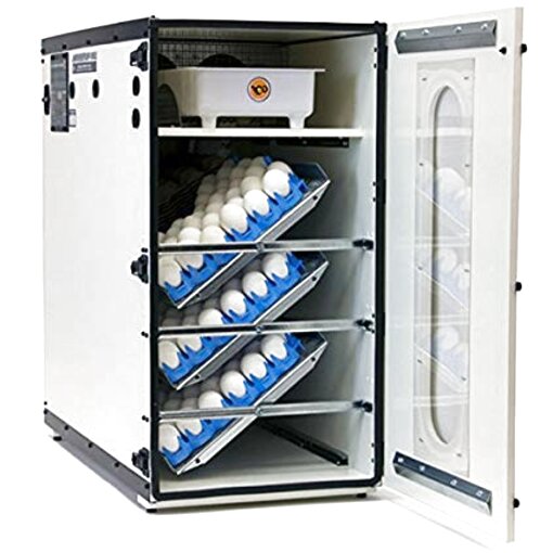 Cabinet Incubator For Sale In Uk View 19 Bargains