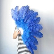 feather fans for sale