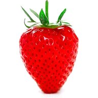 strawberry seeds for sale