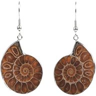 fossil earrings for sale