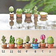 miniature plants for sale