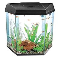 hexagonal fish tank for sale