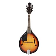 mandolin musical instrument for sale