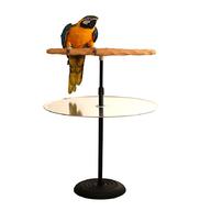 parrot stand for sale