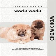 chow chow book for sale