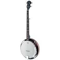 stagg 5 string banjo for sale