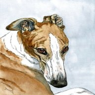 lurcher paintings for sale