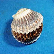 vintage shell pin cushion for sale