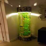 tall fish tank for sale