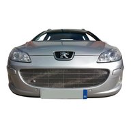 peugeot 407 grill mesh for sale