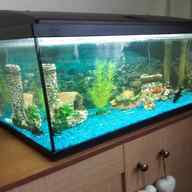 cold water fish tanks for sale