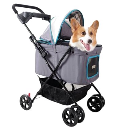 second hand dog buggy