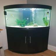 corner fishtank for sale