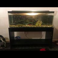 70 litre fish tank for sale