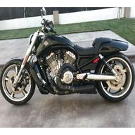 v rod muscle for sale