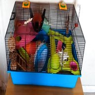 savic hamster for sale