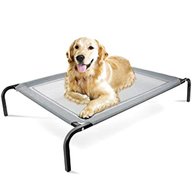 elevated dog bed for sale