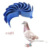 pigeon accessories for sale