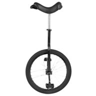 unicycle wheel for sale