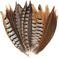pheasant feathers for sale