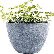 large plant pot for sale