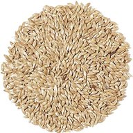 canary seed for sale