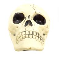 plastic skulls for sale