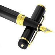a fountain pen for sale