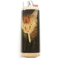 cat lighters for sale