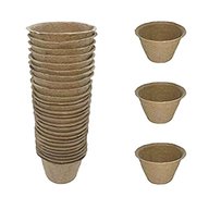 seed pots for sale