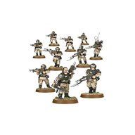 imperial guard cadian for sale