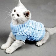 kitten clothes for sale