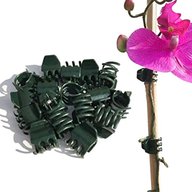 orchid clips for sale